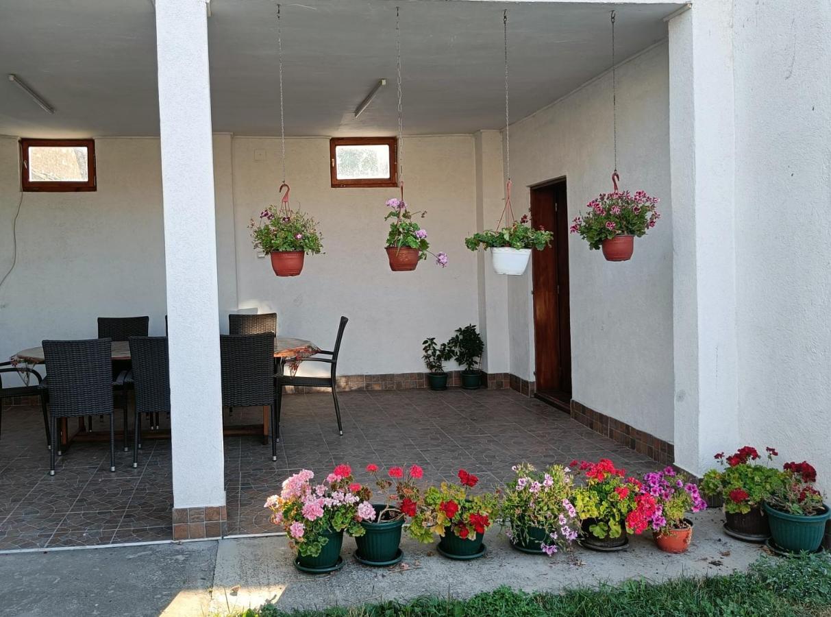 Privatna Soba Dusan Surčin Buitenkant foto
